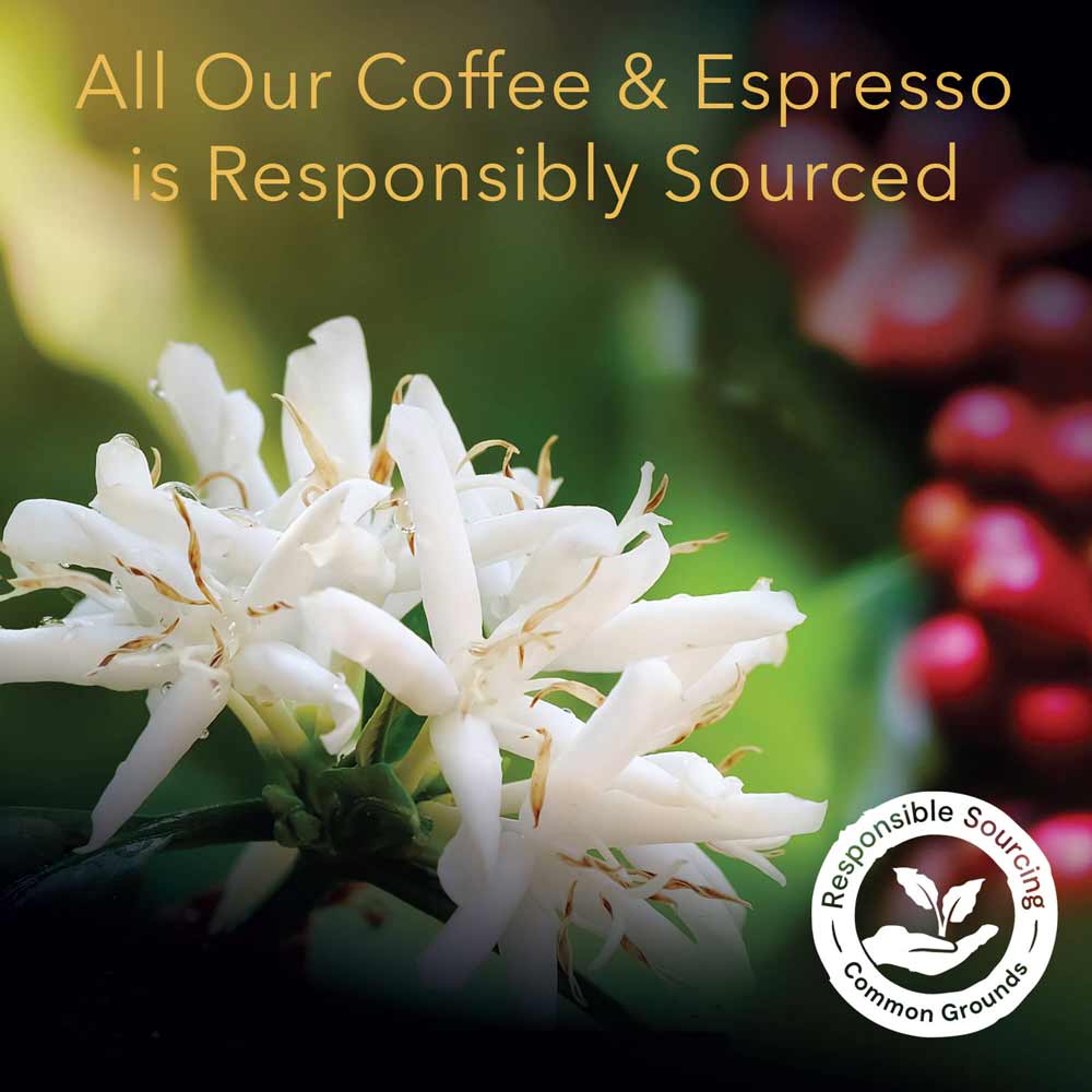 L'OR Flavored Espresso Sampler